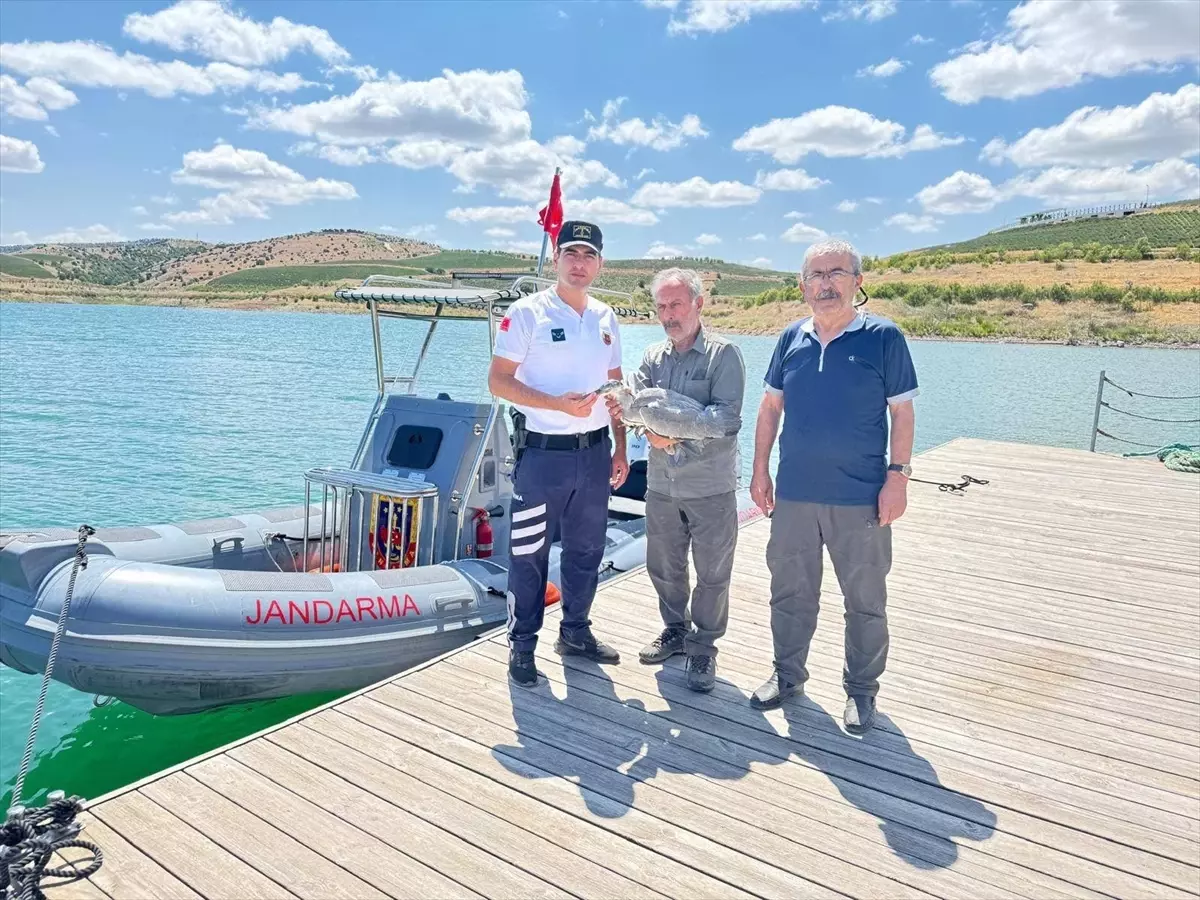 Yozgat'ta Yaralı Gri Balıkçıl Kuşu Tedavi Altına Alındı