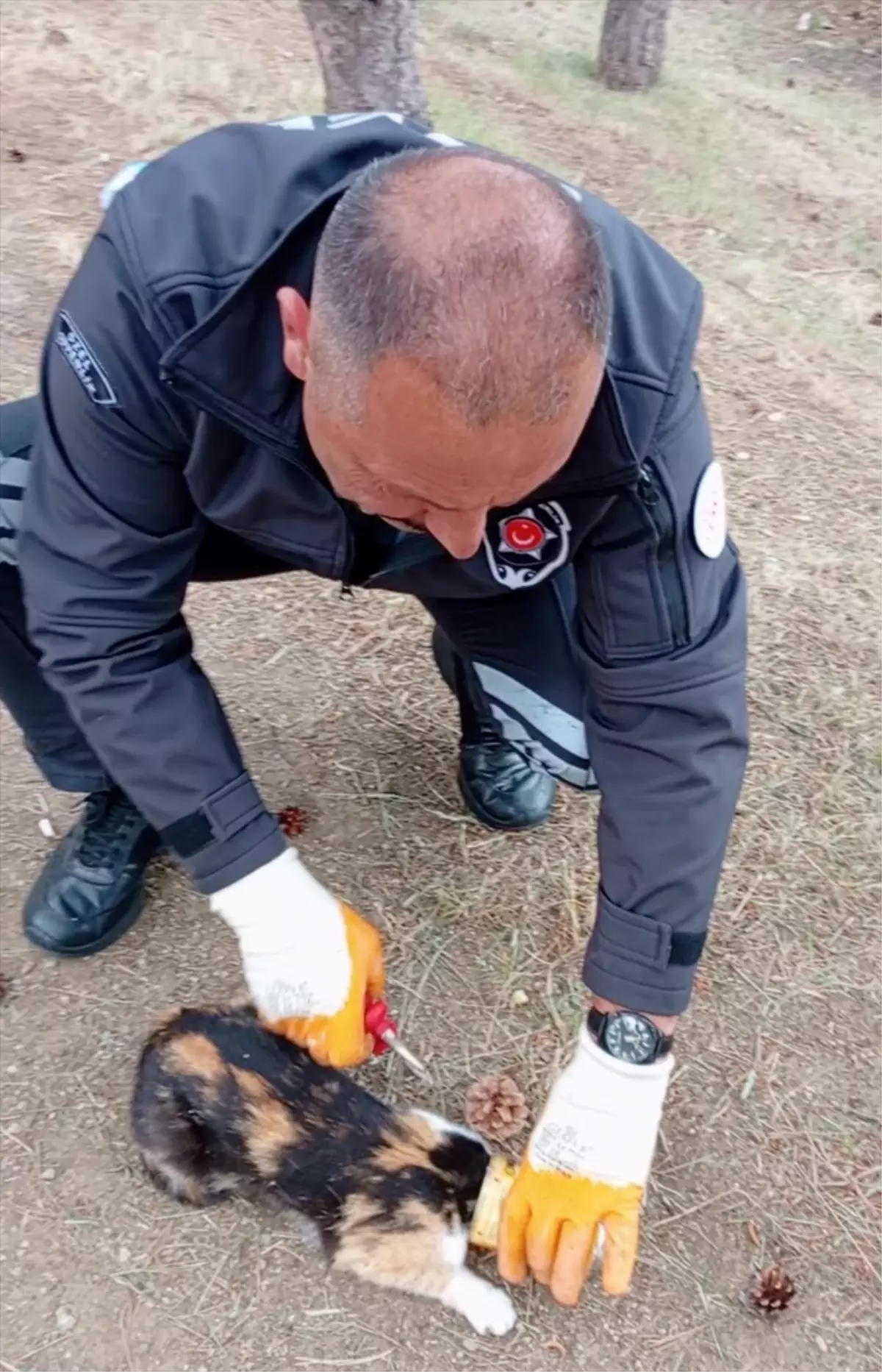Yozgat'ta Kediyi Konserve Kutusundan Güvenlik Görevlisi Kurtardı
