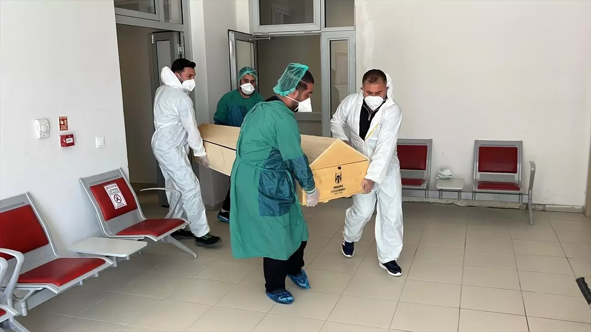 Yozgat'ta Kene Isırması Sonucu KKKA Hastalığı Nedeniyle Bir Kadın Hayatını Kaybetti