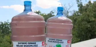 Yozgat'ta Orman Yangınlarına Karşı Su Dolu Damacana Önlemi