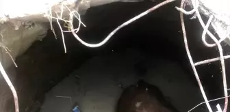 Yozgat'ta Su Kuyusuna Düşen İnek Kurtarıldı