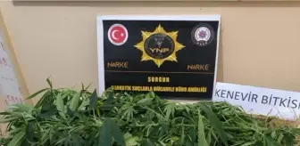 Yozgat'ta Uyuşturucu Operasyonları: 8 Gözaltı
