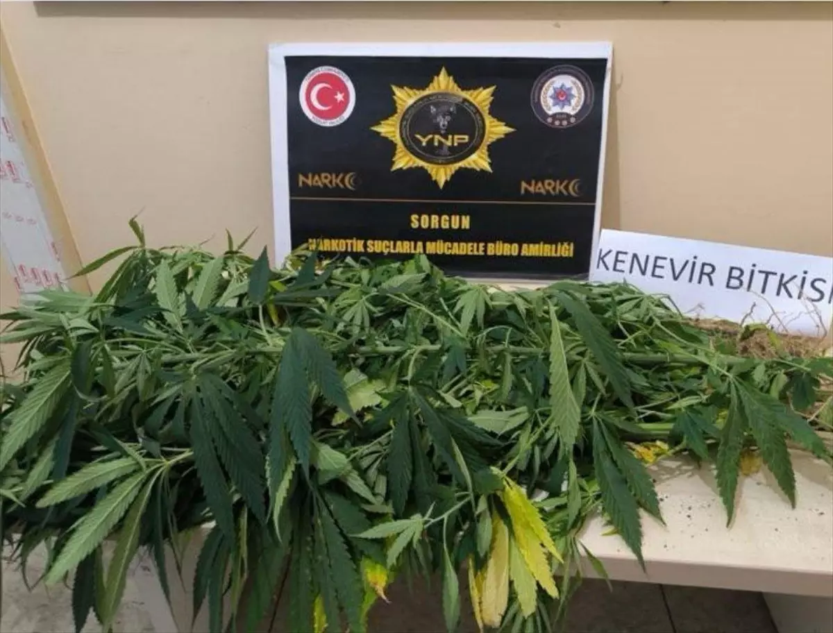 Yozgat'ta Uyuşturucu Operasyonları: 8 Gözaltı