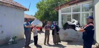 Yozgat'ta Tufaner Ailesi Yaralı Leyleği Kurtardı