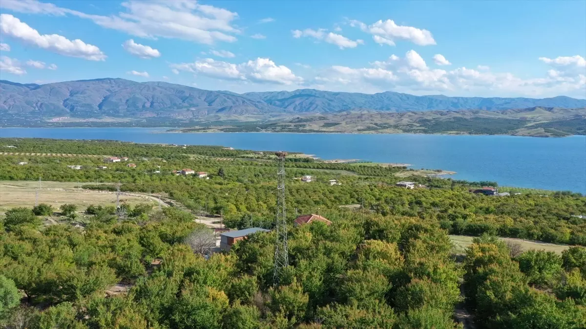 Leylek Narin, Elazığ'ın Maskotu Oldu