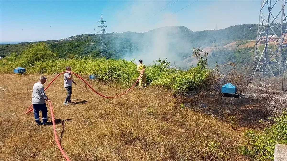 Zonguldak'ta Çalılık Yangını Kontrol Altına Alındı
