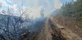 Zonguldak'ta Ormanlık Alanda Çıkan Yangın Kontrol Altına Alındı