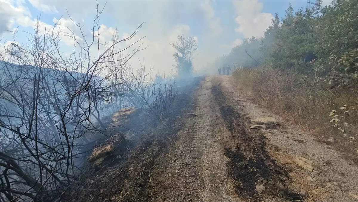 Zonguldak'ta Ormanlık Alanda Çıkan Yangın Kontrol Altına Alındı