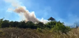 Zonguldak'ta Fındıklıkta Başlayan Yangın Kontrol Altına Alındı