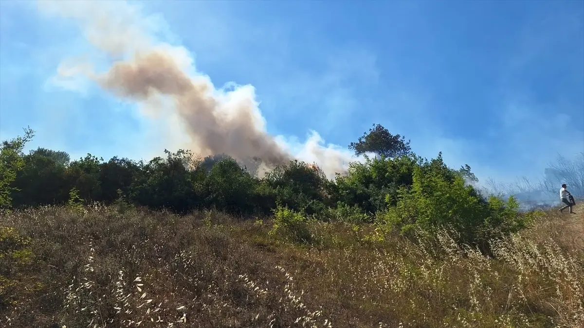 Zonguldak'ta Fındıklıkta Başlayan Yangın Kontrol Altına Alındı