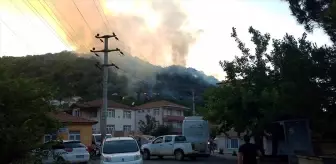 Zonguldak'ta Orman Yangını Kontrol Altına Alındı