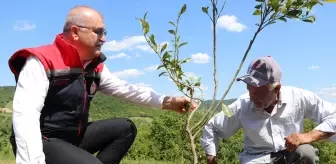 Zonguldak'ta Tarım Arazilerinin Etkinleştirilmesi Projesi ile 20 Milyon Liralık Katkı
