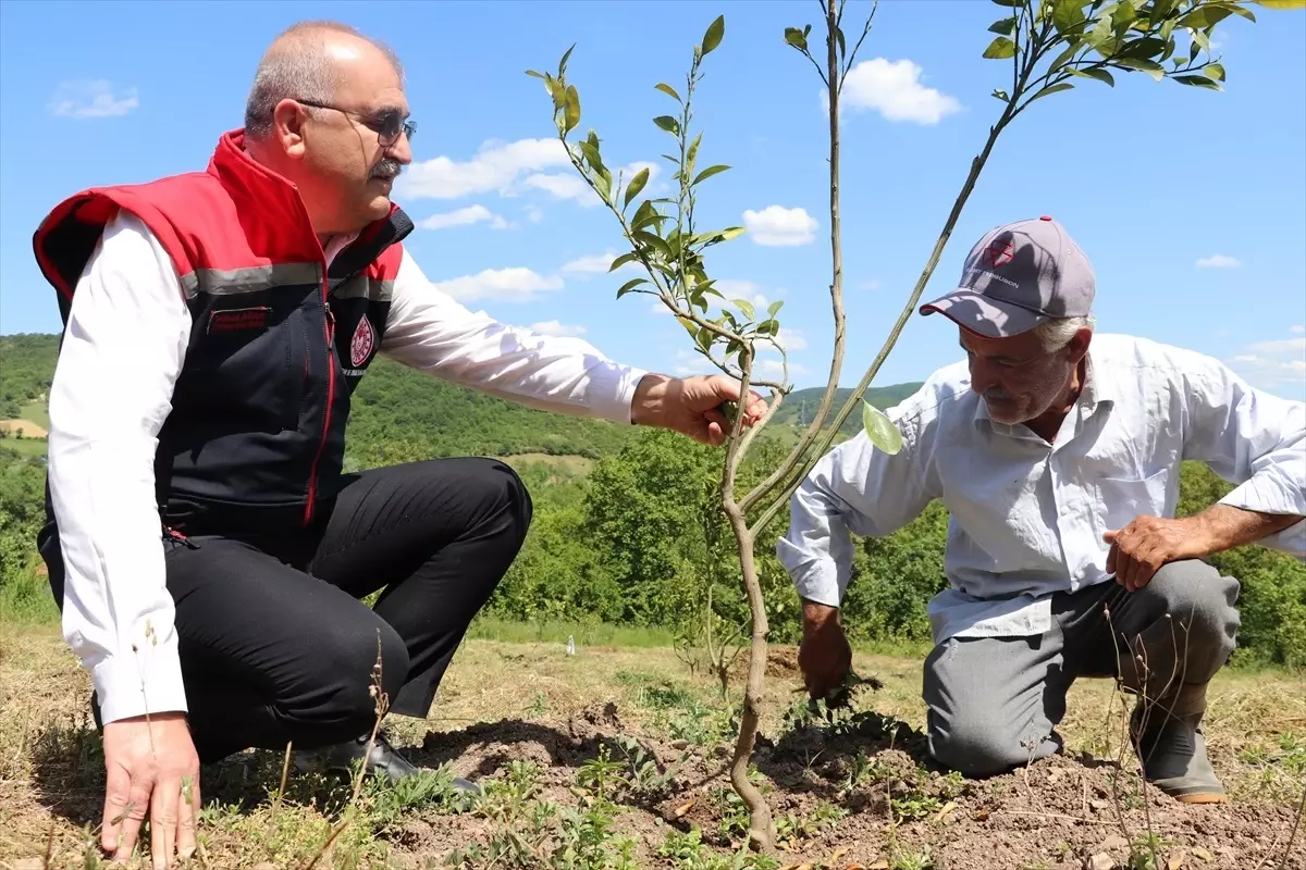Zonguldak'ta Tarım Arazilerinin Etkinleştirilmesi Projesi ile 20 Milyon Liralık Katkı