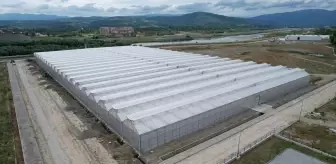Çaycuma'da Sera Organize Tarım Bölgesi Kuruluyor