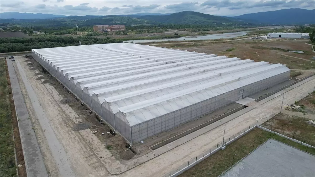 Çaycuma'da Sera Organize Tarım Bölgesi Kuruluyor
