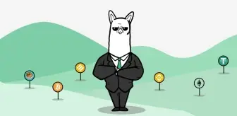 Alpaca Fiyatı Neden Düştü? İşte Kapanma Kararının Perde Arkası