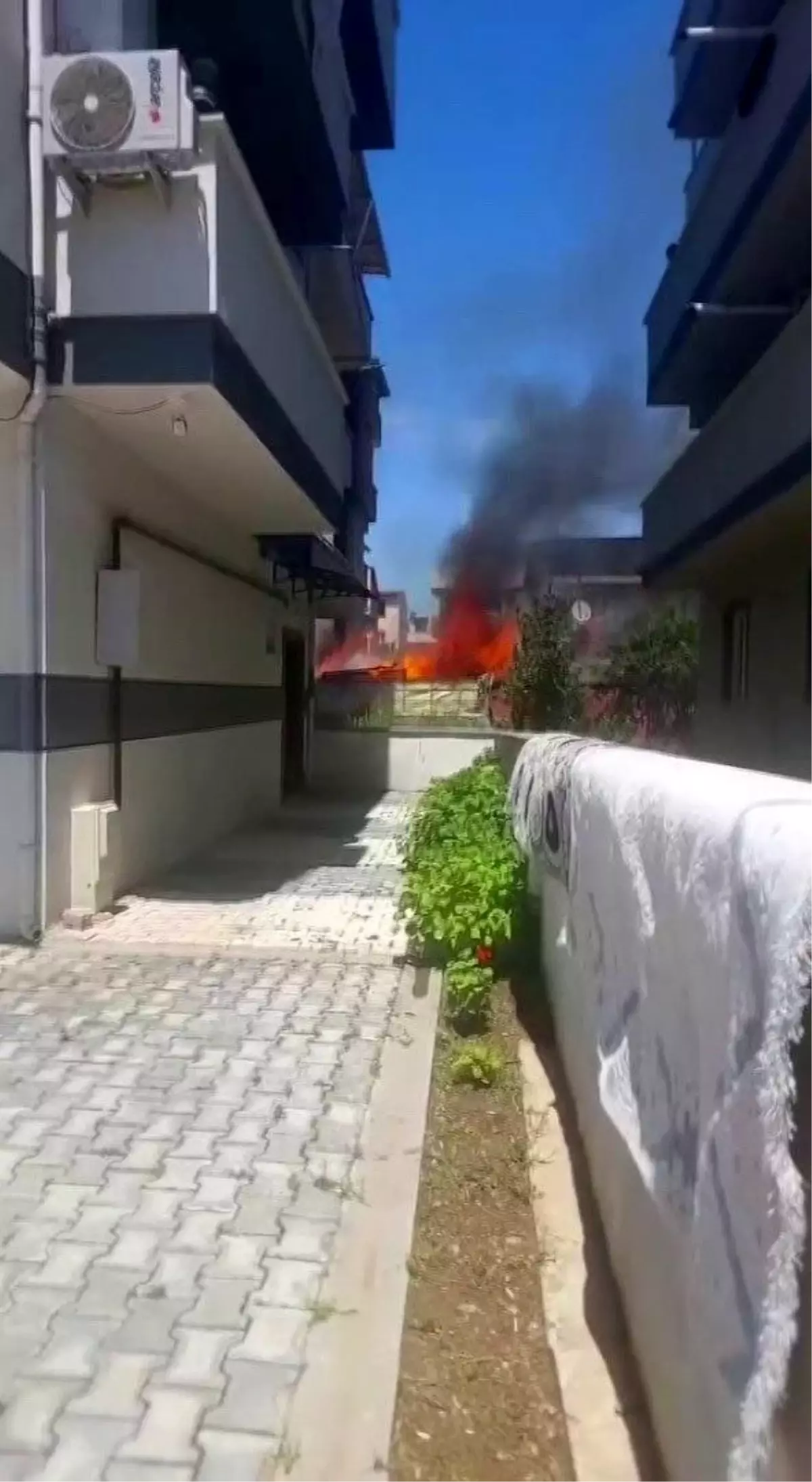 Kocaeli'nin Darıca ilçesinde kömürlük yangını