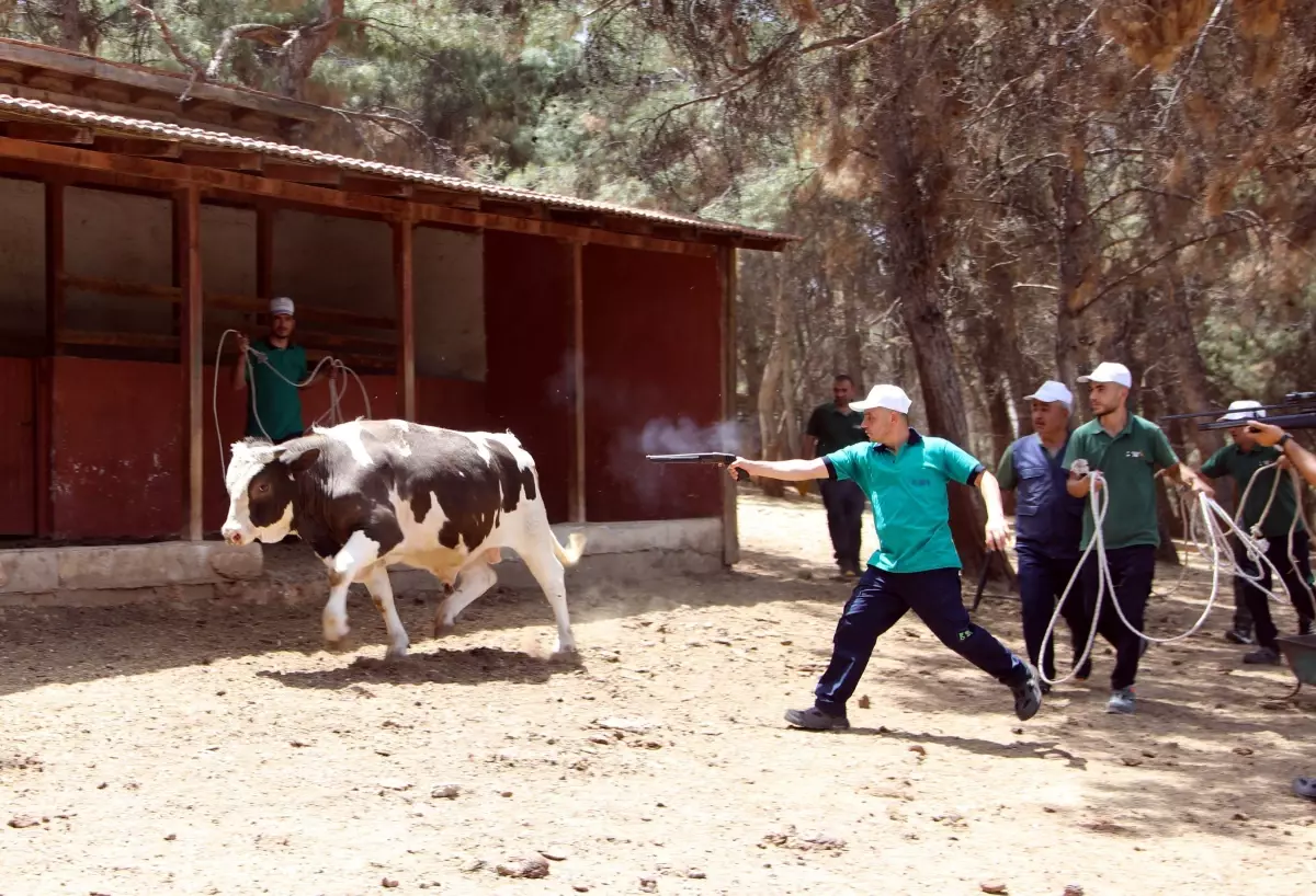 Gaziantep'te Kurban Yakalama Timi Kuruldu