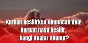 Kurban kesilirken okunacak dua! Kurban nasıl kesilir, hangi dualar okunur? (Diyanet)