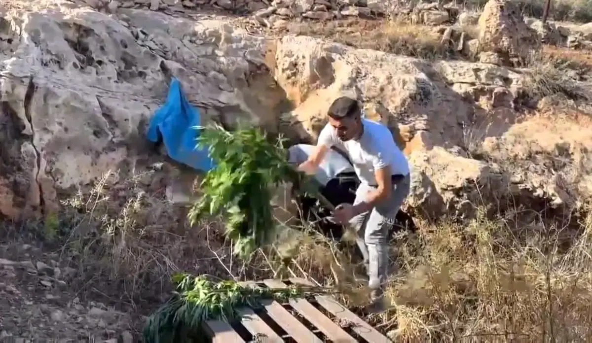 Şanlıurfa'da Mağarada Kenevir ve Uyuşturucu Hap Ele Geçirildi