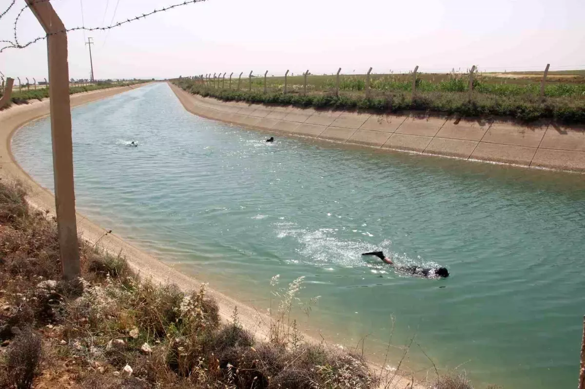 Şanlıurfa'da Sulama Kanalına Düşen Çocuk İçin Arama Çalışması Başlatıldı