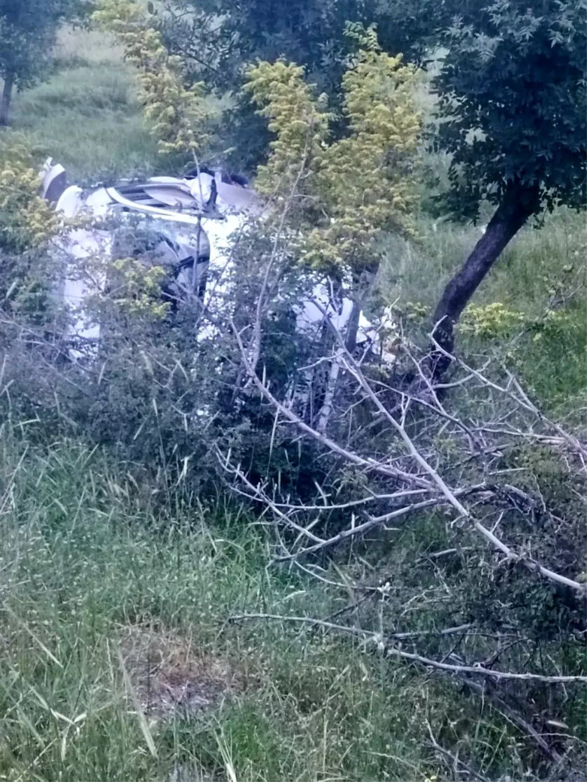 Siirt'te Devrilen Otomobilin Sürücüsü Yaralandı