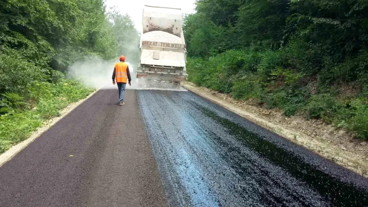 Sinop'a 171 milyon TL'lik KÖYDES desteği