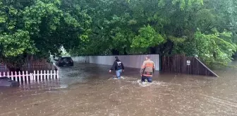 Teksas'ı fırtına vurdu! 160 bin kişi elektriksiz kaldı