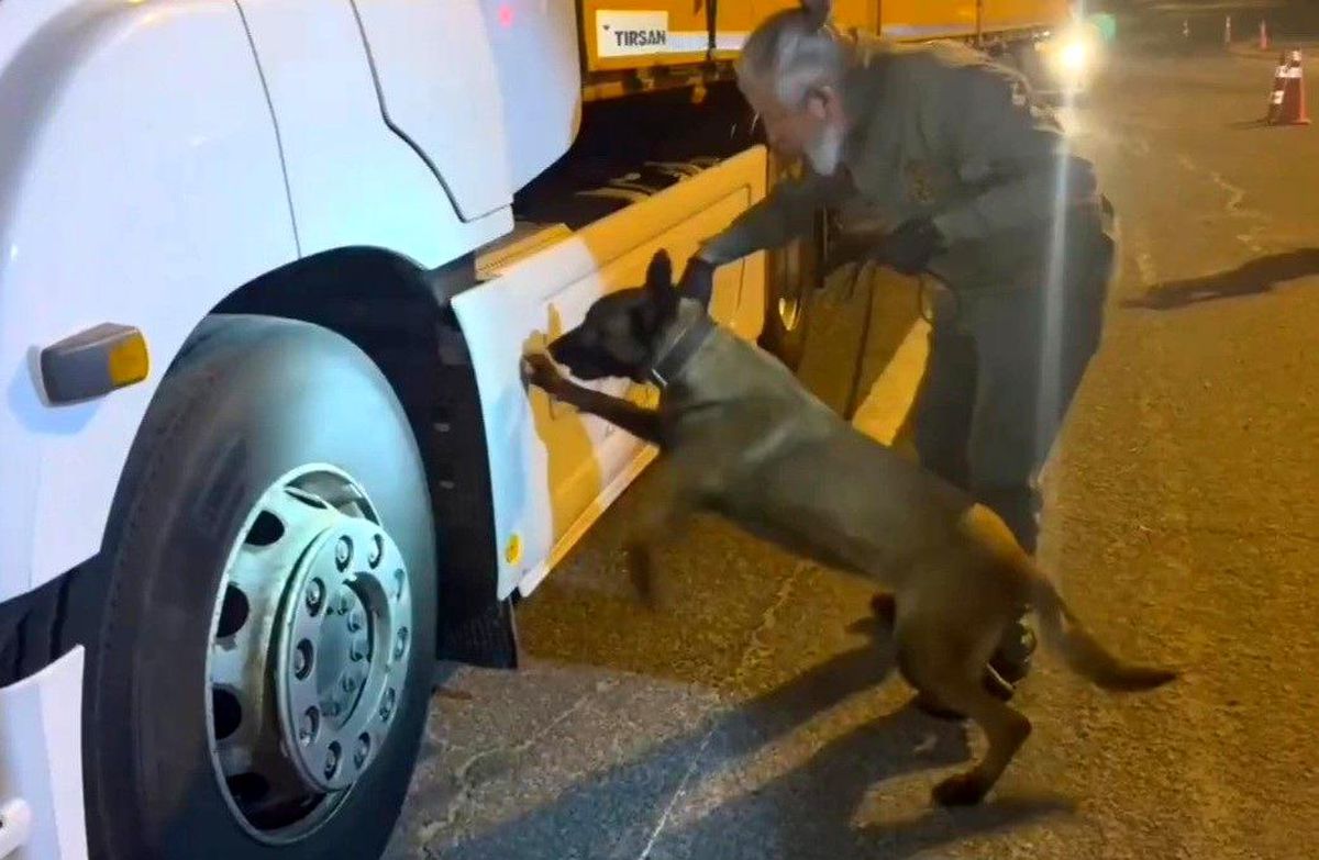 Tekirdağ'da Uyuşturucu Operasyonu: 5 Kilo Skunk Ele Geçirildi