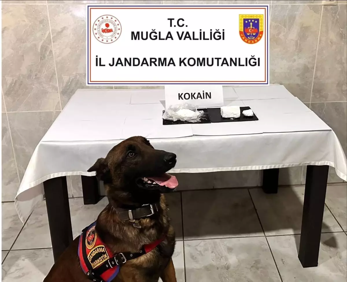 Muğla'da Yolcu Otobüsünde 290 Gram Kokain Ele Geçirildi