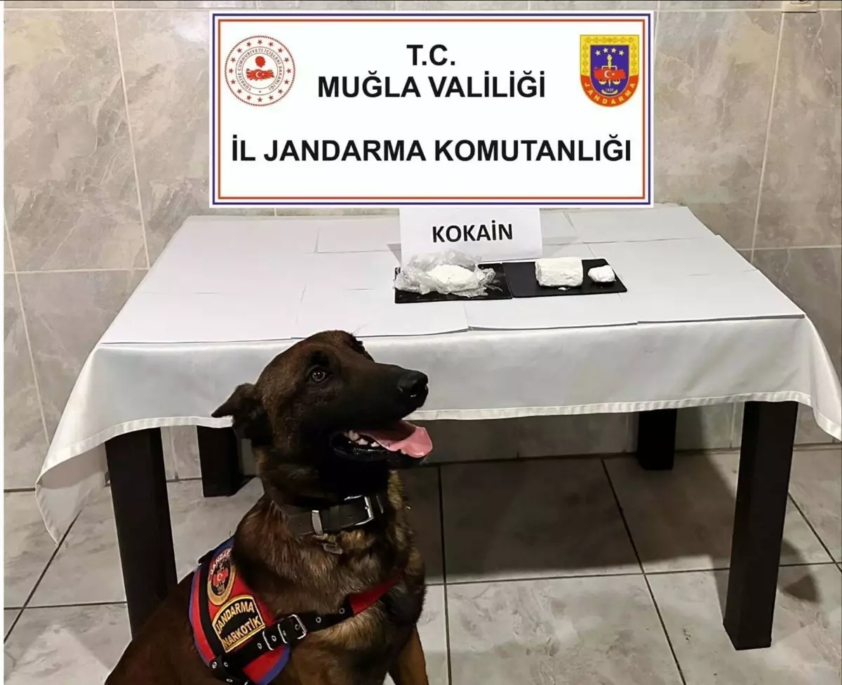 Yatağan'da Uyuşturucu Operasyonu: 290 Gram Kokain Ele Geçirildi