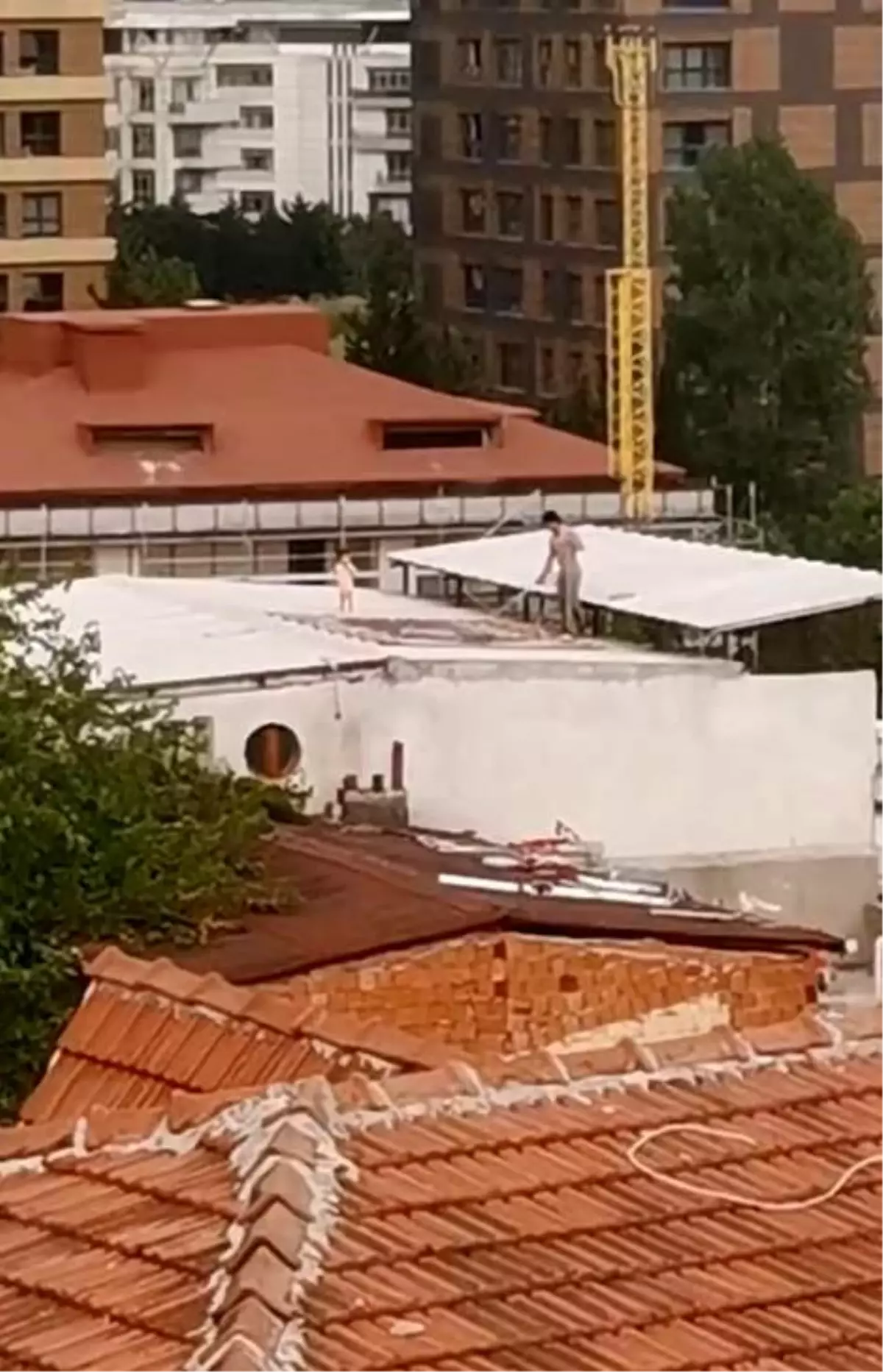 Küçükçekmece'de Çatıda Halı Yıkayan Baba ve Çocuğu İlgiyi Üzerine Çekti