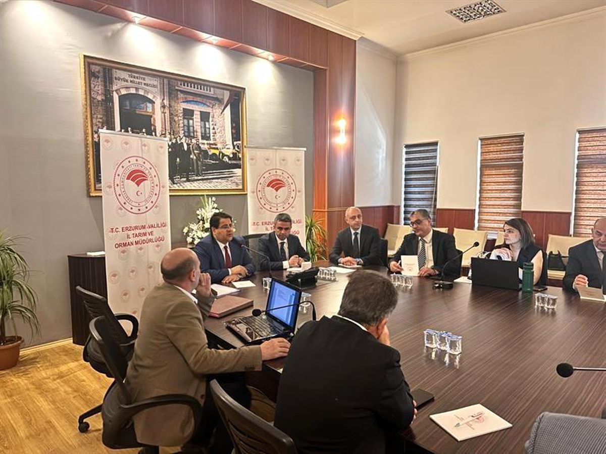 Erzurum'da 2025 Yılı İhtiyaç Fazlası Mera Kiralamaları Tamamlandı