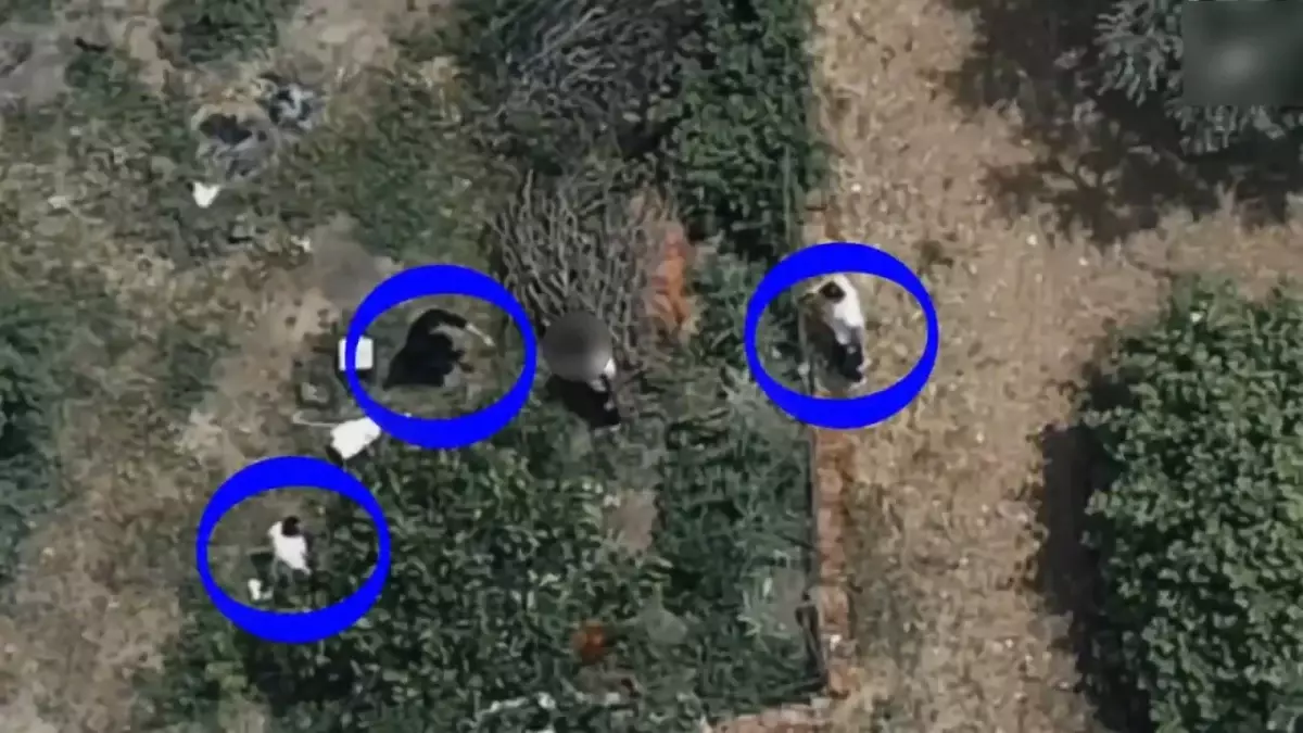 Hapis Cezaevi Kaçışına Dronla Müdahale