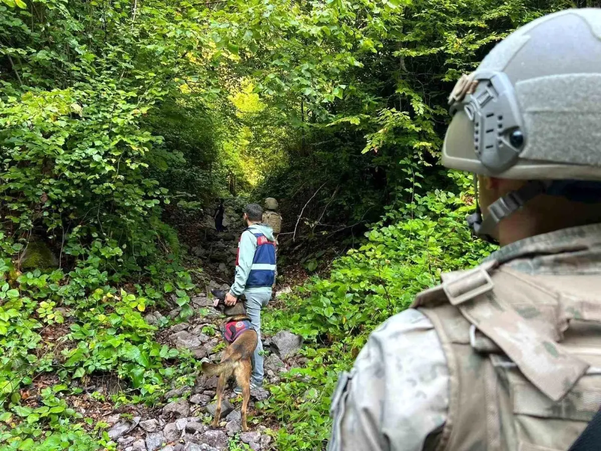 Düzce'de Jandarma Yaylalarda Kaçakçılığa Karşı Denetim Başlattı