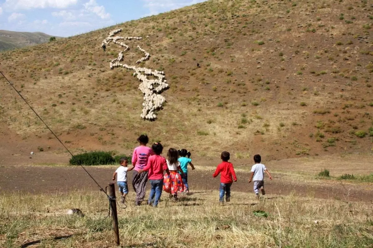 Erzincan Tulum Peyniri AB'den Coğrafi İşaret Tescili Aldı
