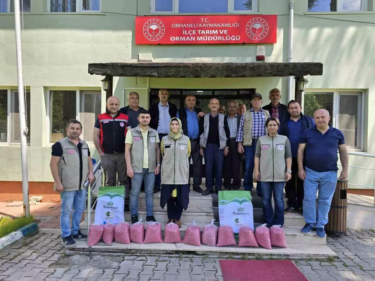 Orhaneli'de Çiftçilere Kuru Fasulye Tohumu Dağıtımı Yapıldı