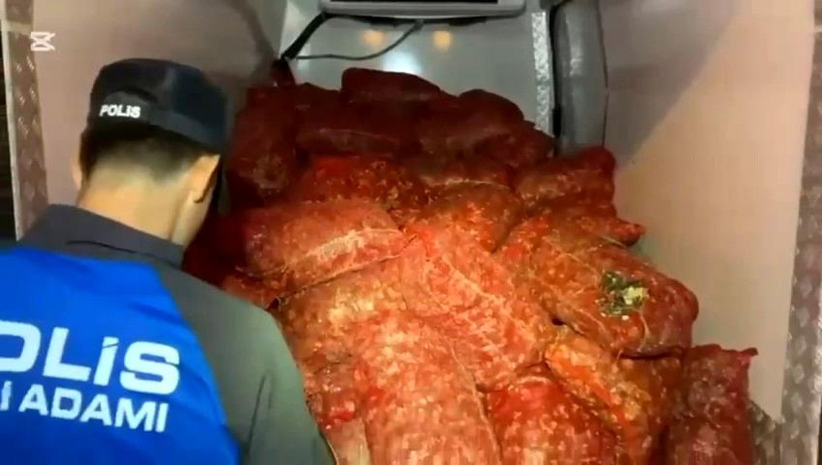 Samsun'da 2.9 Ton Kaçak Midye Ele Geçirildi