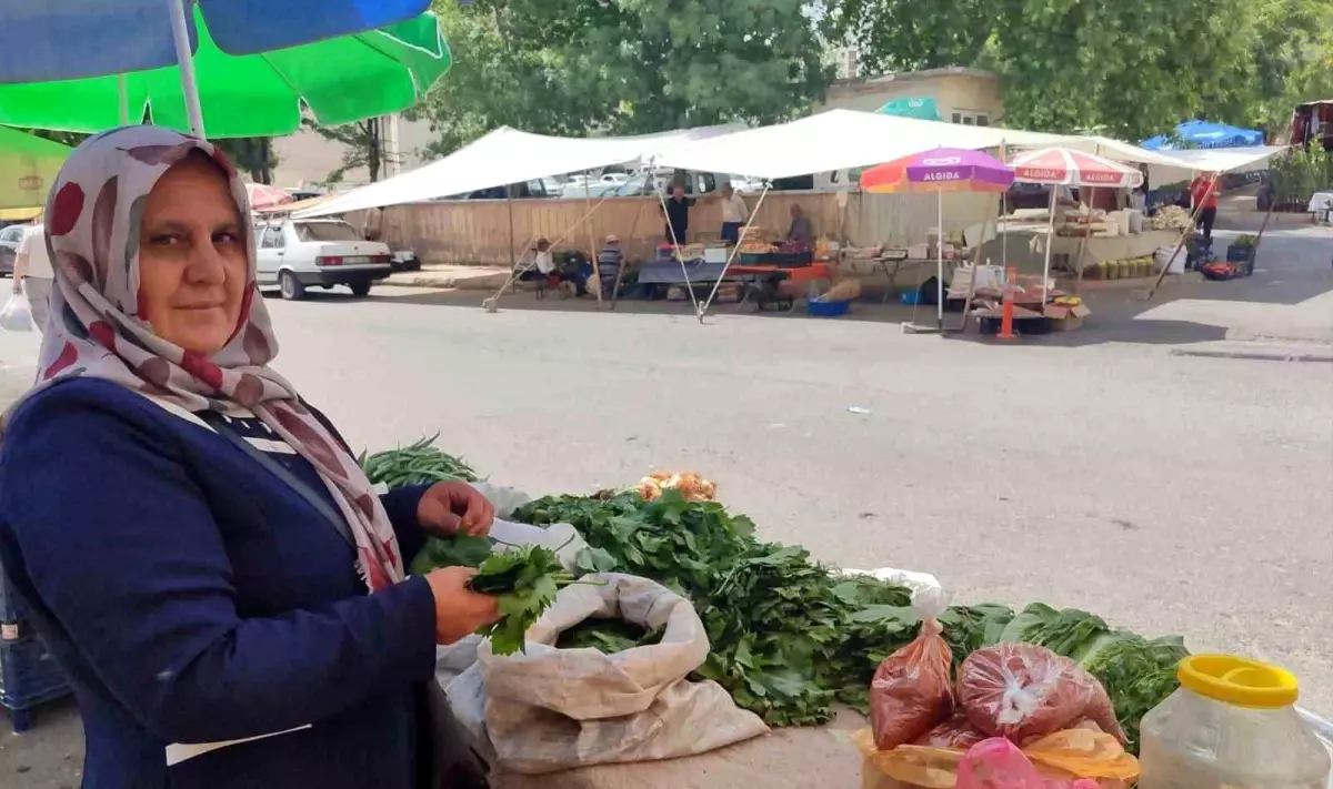 5 Çocuk Anneden Aile Ekonomisine Destek: Asma Yaprağı Satışı