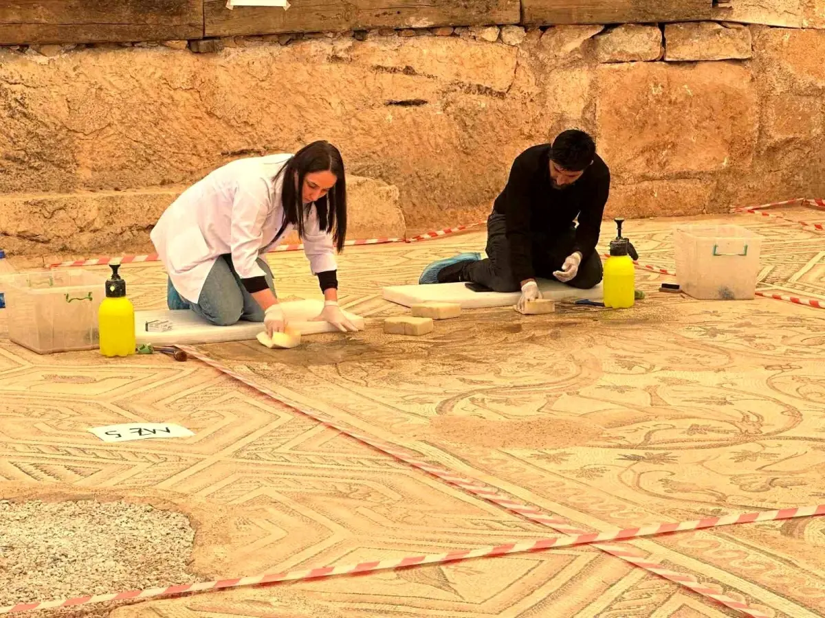 Perre Antik Kent'teki Cennet Bahçesi Mozaiğinde Restorasyon Başladı