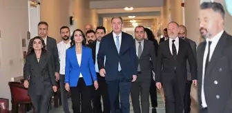 DEM Parti'den infaz düzenlemesine tepki: Dağ fare bile doğuramadı
