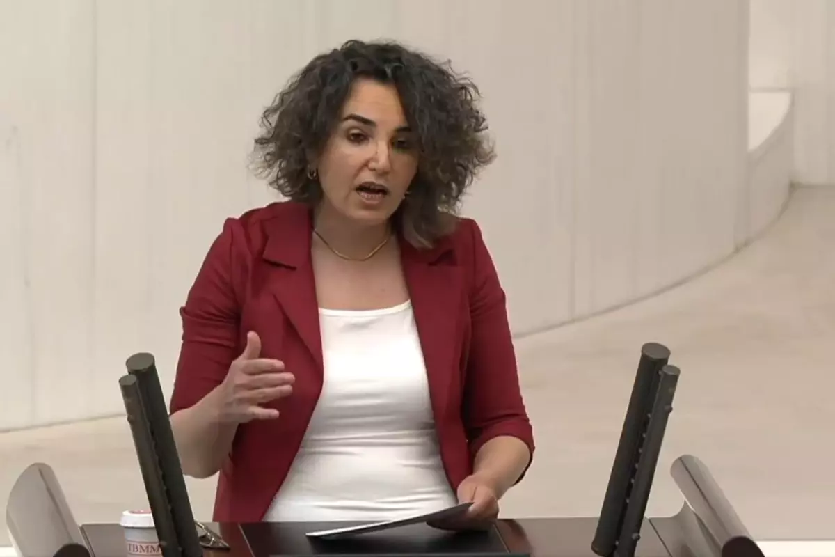 DEM Partili Çiçek Otlu'nun translarla ilgili talebi büyük tartışma yarattı