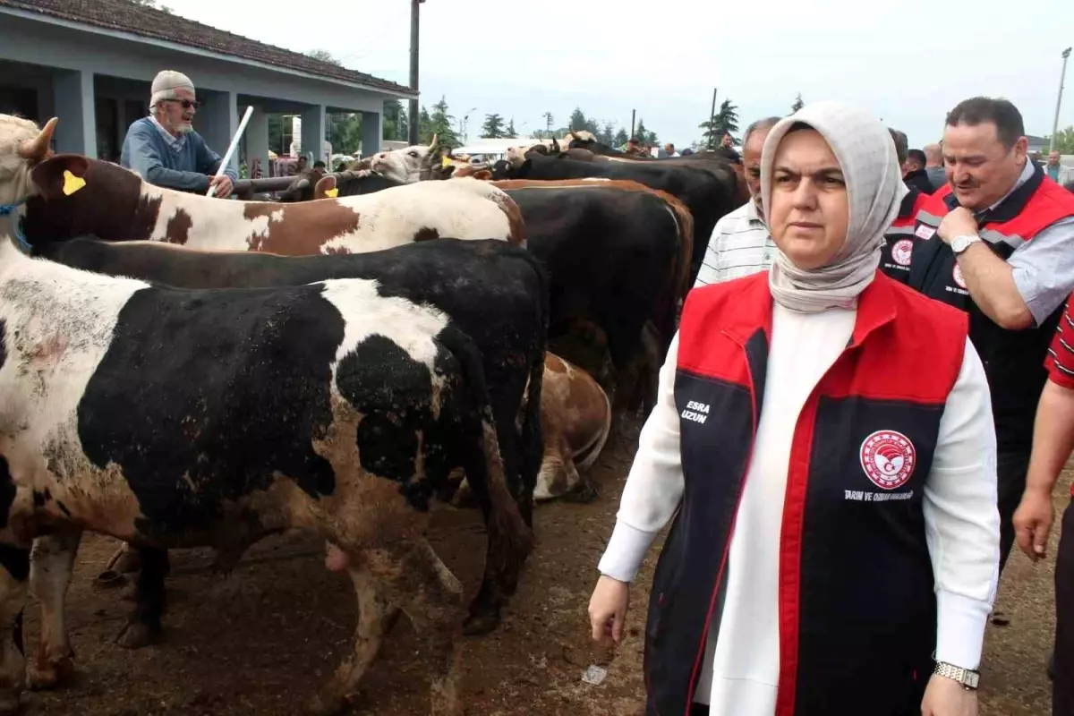 Bayram Öncesi Hayvan Sevklerine Yoğun Denetim
