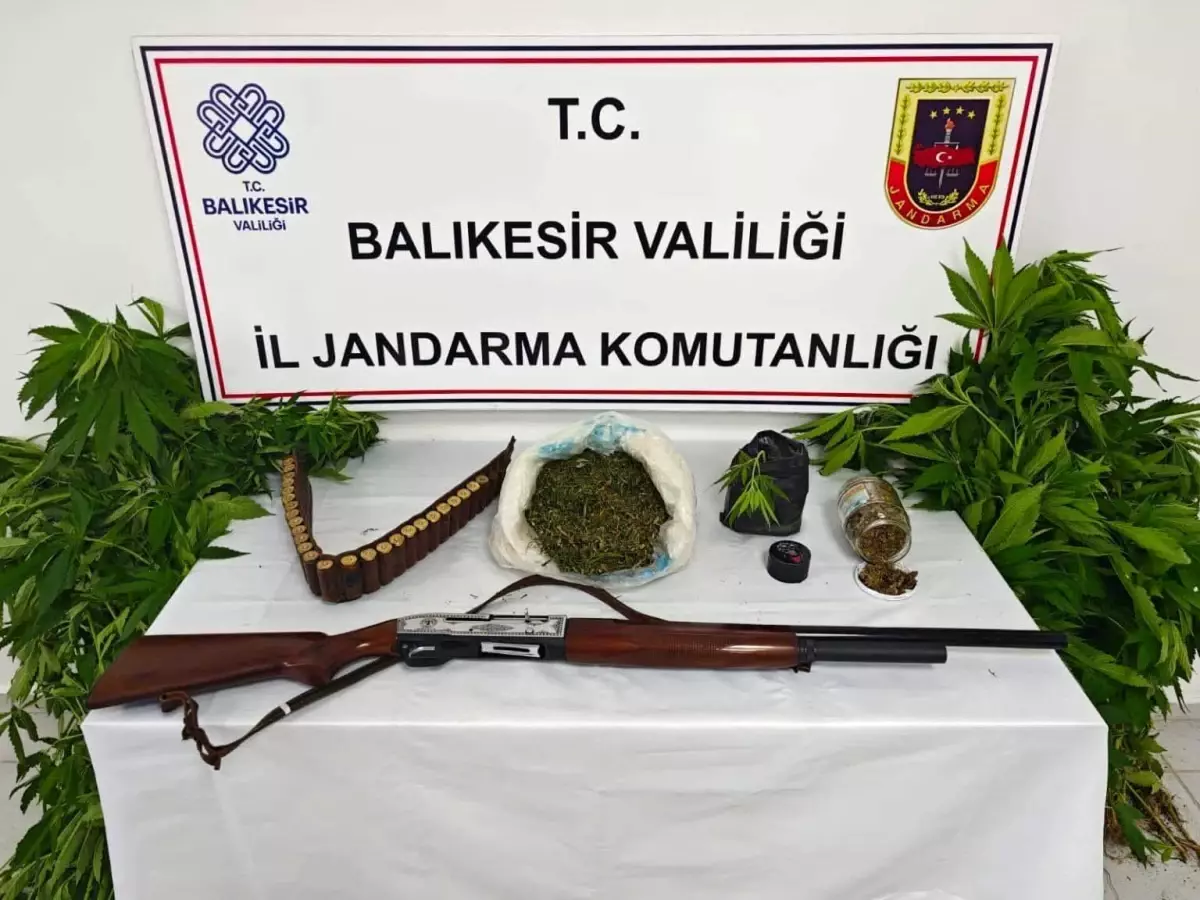 Balıkesir'de Uyuşturucu Operasyonu: 93 Kök Kenevir ve 2 Kilo Esrar Ele Geçirildi