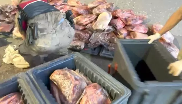 تم ضبط 1 طن و700 كيلوغرام من اللحم غير المختوم في شانلي أورفا