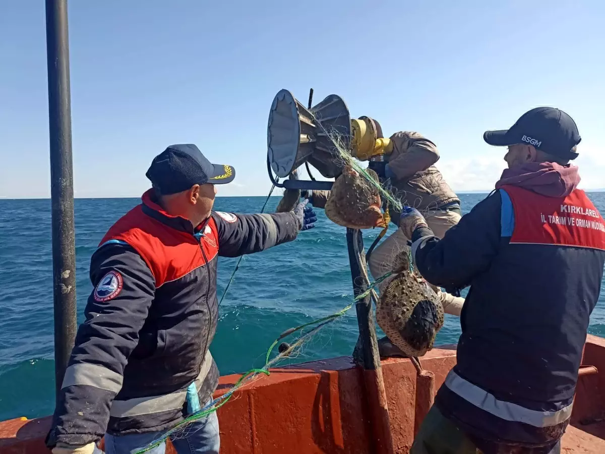 Kırklareli Açıklarında Kaçak Kalkan Balığı Avına Geçit Yok