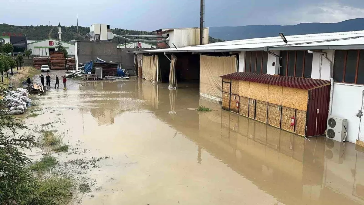 Tosya'da Kuvvetli Sağanak Fabrikaları Vurdu