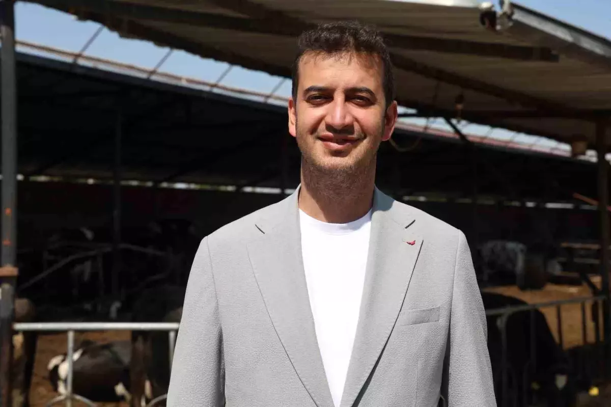 Kurban Bayramı Öncesi Uzmanlardan Hayvan Seçimi Uyarıları
