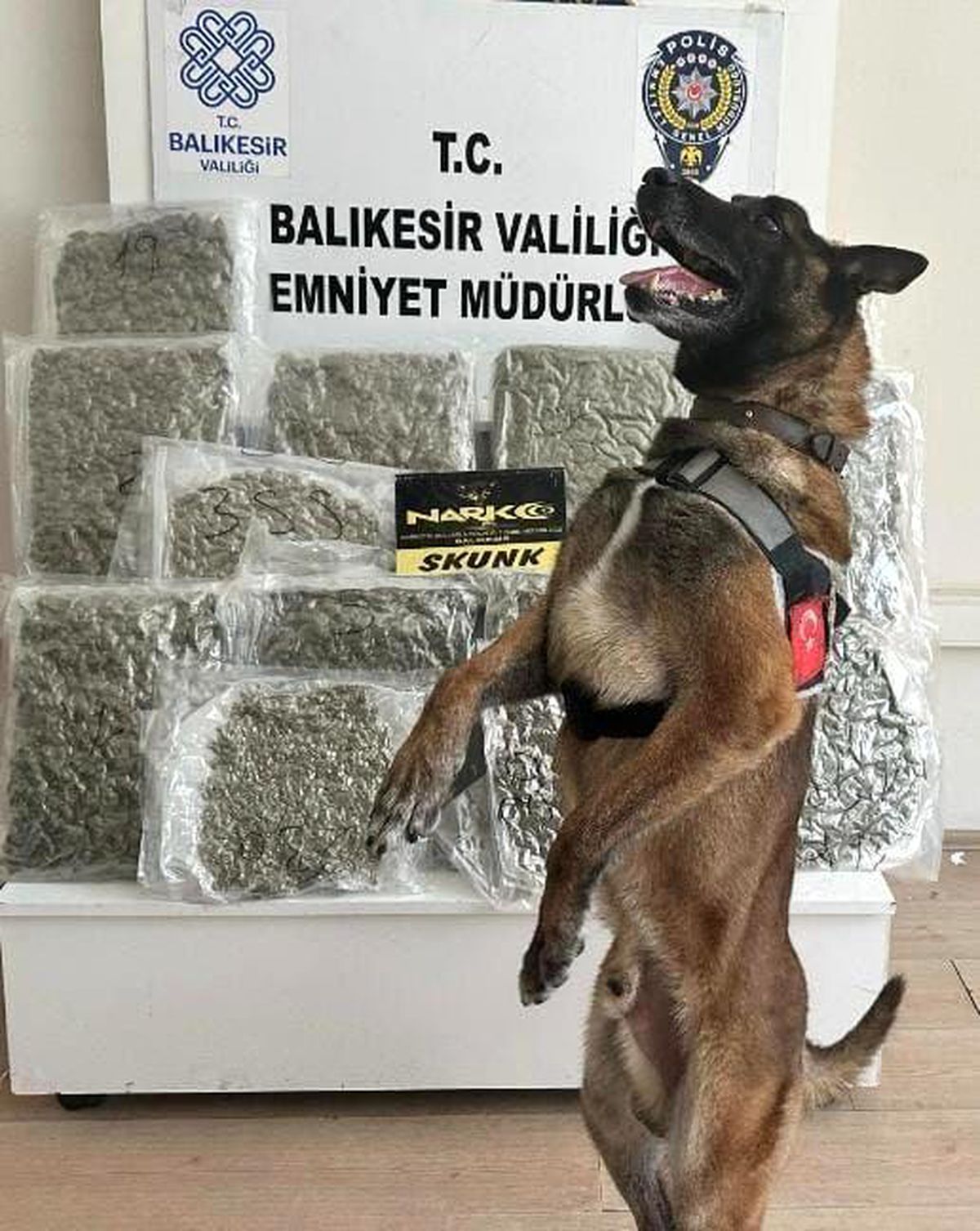 Balıkesir'de Narkotik Operasyonunda 10 Kilo Esrar Ele Geçirildi