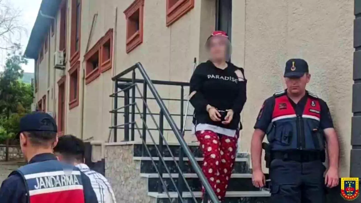 Sapanca'da Dolandırıcılık Olayı: 4 Küçükbaş Hayvan Çalındı